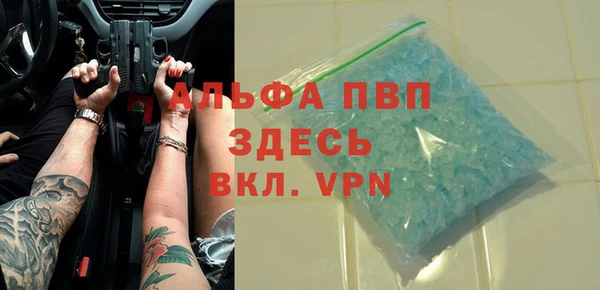индика Богородицк