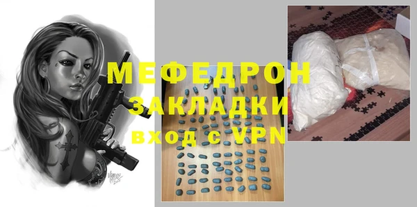 индика Богородицк