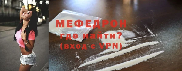 индика Богородицк