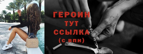 индика Богородицк