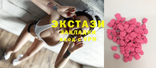 индика Богородицк