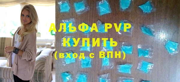 индика Богородицк