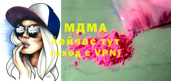 индика Богородицк