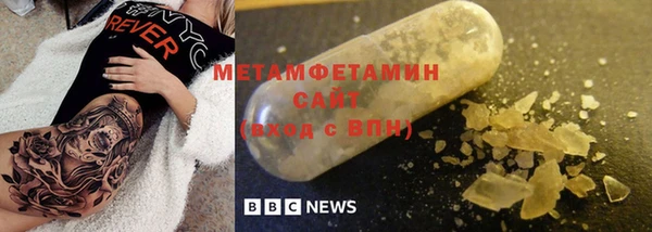 индика Богородицк