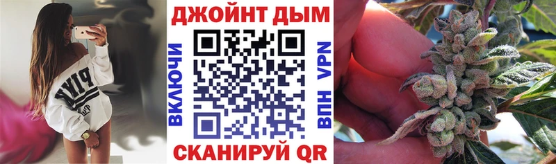 Каннабис индика  Ленинградская 
